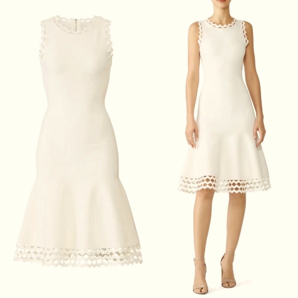 NWOT Milly Dress